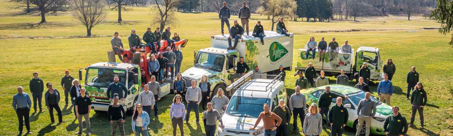 A group of Joshua Tree Experts team members gathered around our branded service vehicles, showcasing our dedicated team and commitment to quality tree care, lawn care and pest control services.