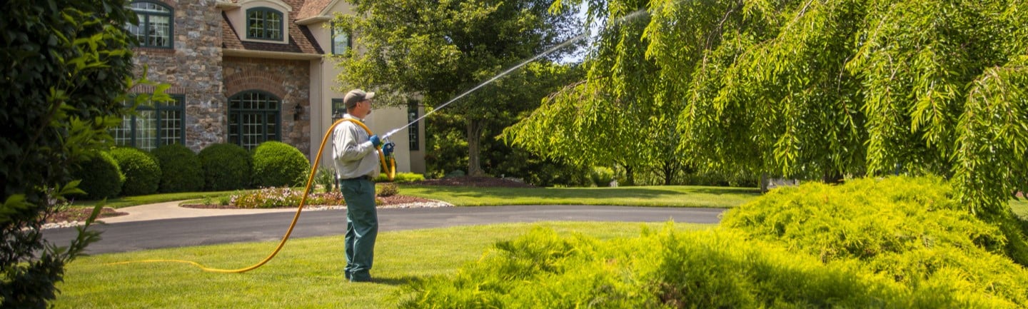 A Joshua Tree Experts professional is spray treating a tree. The worker, dressed in protective gear including gloves, safety goggles, and a company-branded uniform, is holding a spray nozzle connected to a hose. The professional is focused on evenly applying the treatment to the tree's foliage, ensuring the tree's health and pest control.